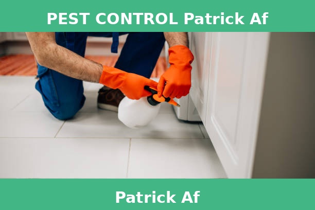 PEST CONTROL Patrick Af